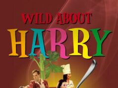 История о Гарри