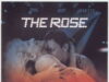 Роза