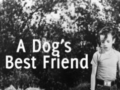 A Dog’s Best Friend