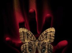 И грянул гром