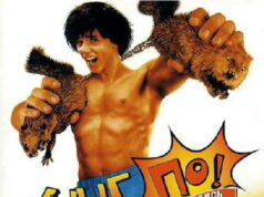 Кунг По: Нарвись на кулак