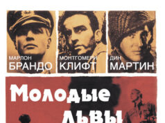 Молодые львы