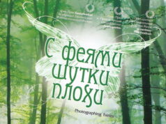 С феями шутки плохи