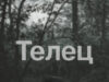 Телец