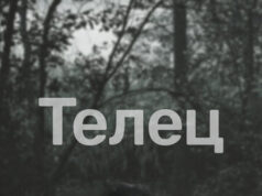 Телец