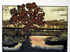 Дерево для башмаков