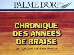 Хроника огненных лет