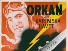 Китайский клипер