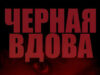 Черная вдова