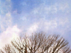 Крупная рыба