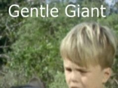 Gentle Giant