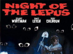 Ночь кролика